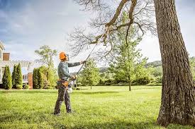Best Tree Risk Assessment  in Manchester, TN