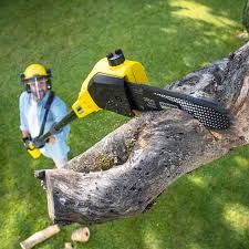 Best Lawn Pest Prevention  in Manchester, TN